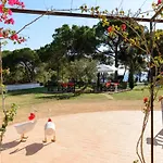 Madroños By Danlux Invest